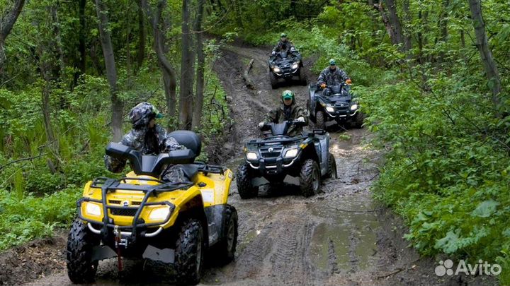 Прокат квадрациклов