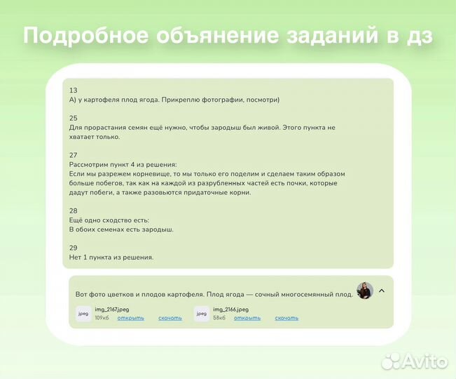 Репетитор по биологии