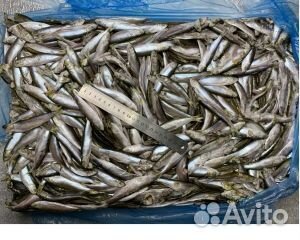 Рыба и морепродукты оптом