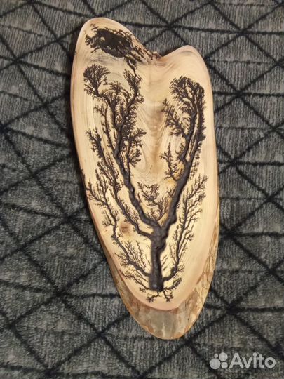 Декоративный спил на стену из дерева(черёмуха)