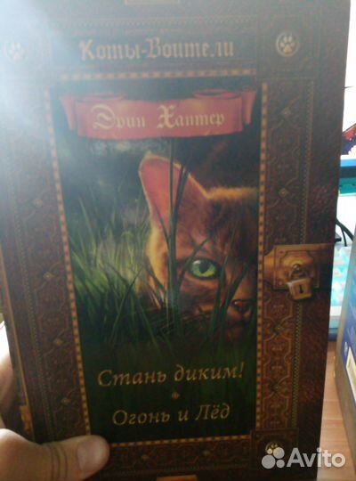 Книги коты воители 1-3 цикл и 1 книга 4 цикла