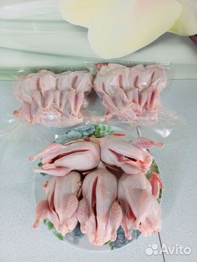 Перепела, тушки потрошёные охлажденные