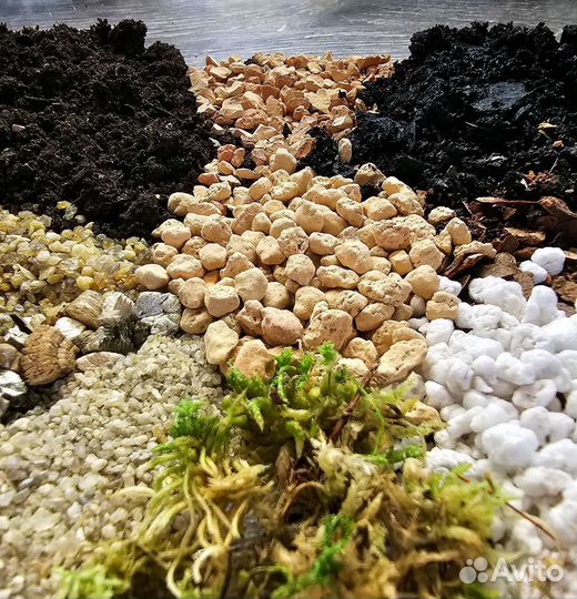 Идеальный грунт для комнатных растений