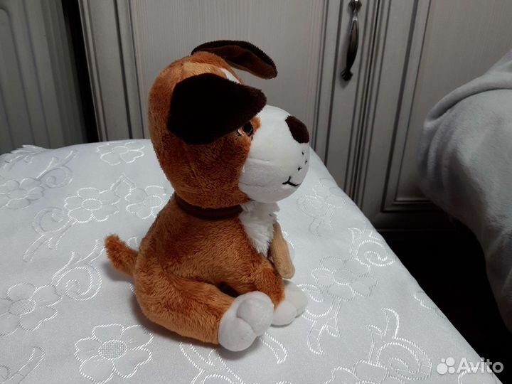 Собака, Щенок