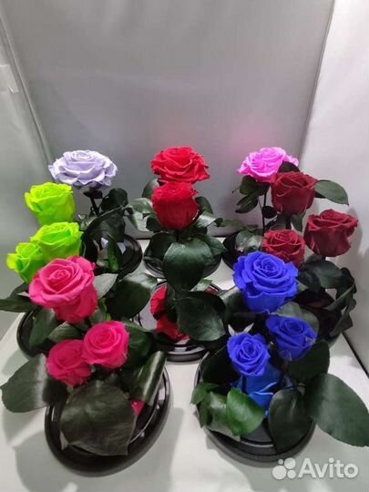 Роза в колбе оптом и в розницу