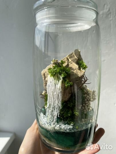 Флорариум (моссариум)