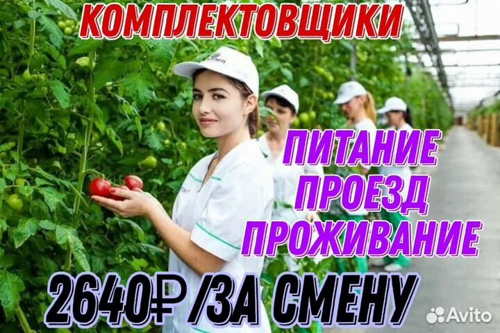 Вахта сбор урожая