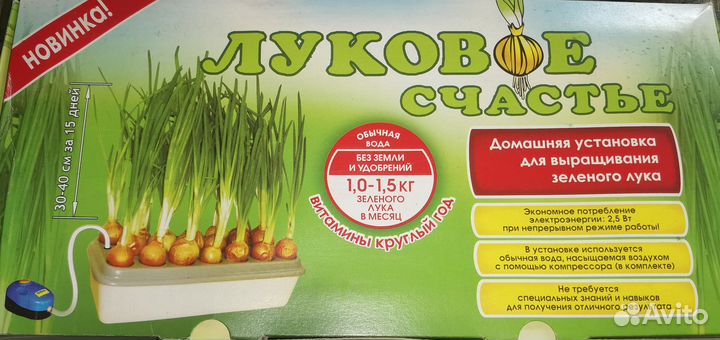 Выращивание зелени