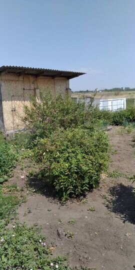 Дом 70 м² на участке 14 сот.