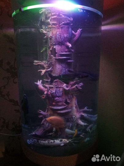 Аквариум целиндрический