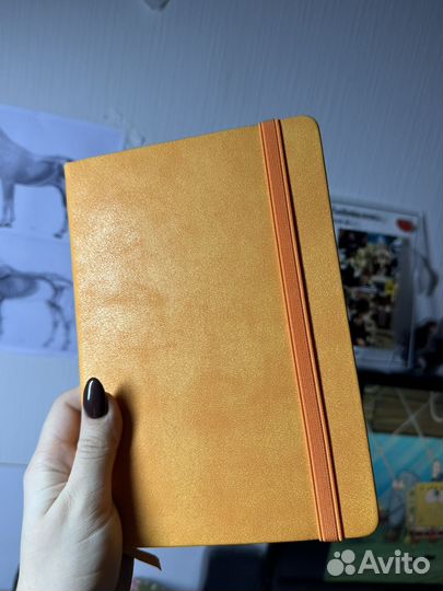 Тетради для записи блокноты