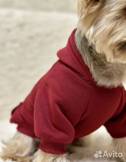 Худи на флисе для кошек собак