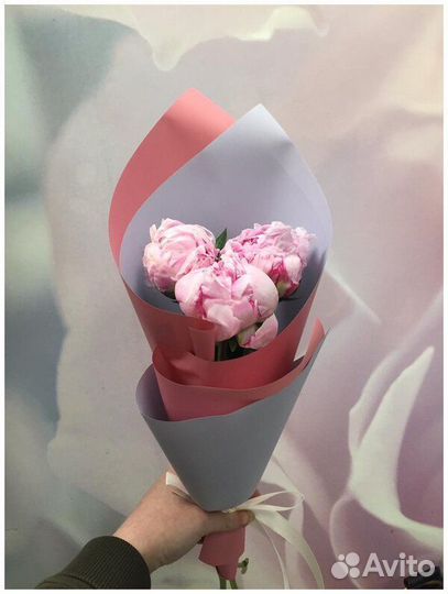 Пионы белые доставка