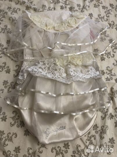 Конверт на выписку choupette