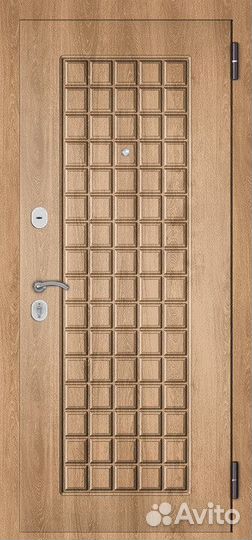 Дверь входная металлическая в квартиру