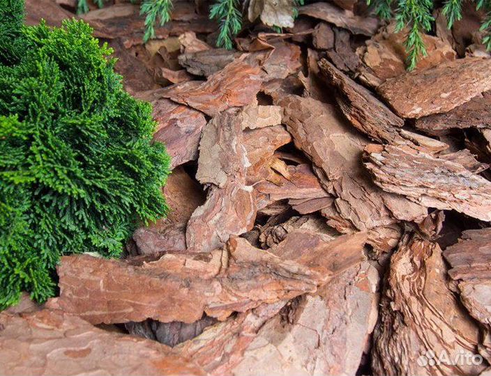 Мульча кора сибирской лиственницы