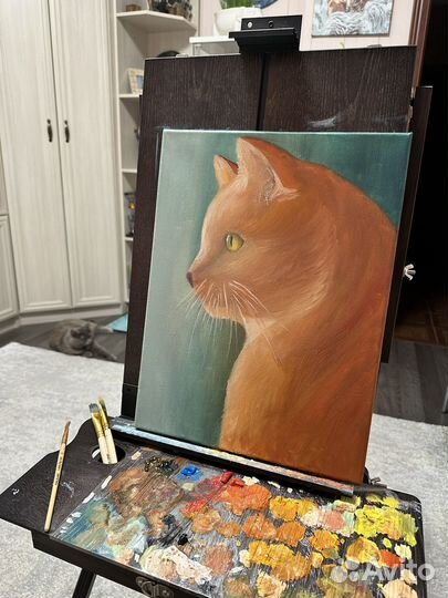Картина котик