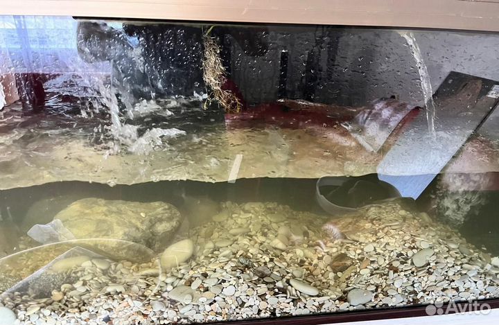 Грунт для аквариума галька