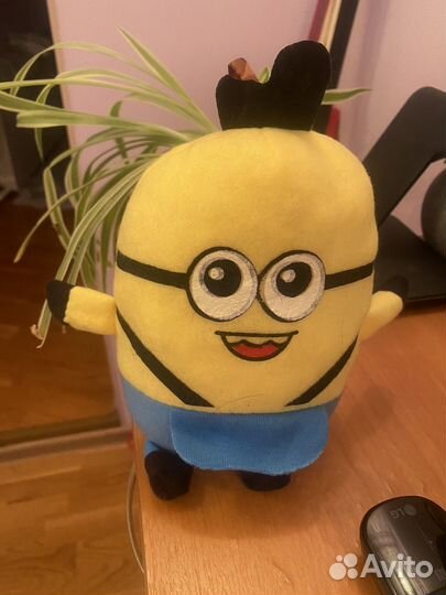 Миньон новый