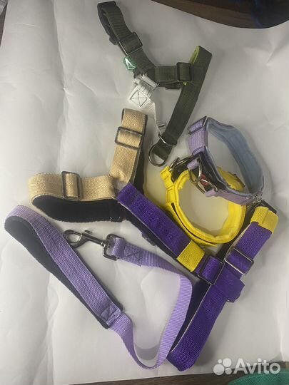 Товары для животных собак