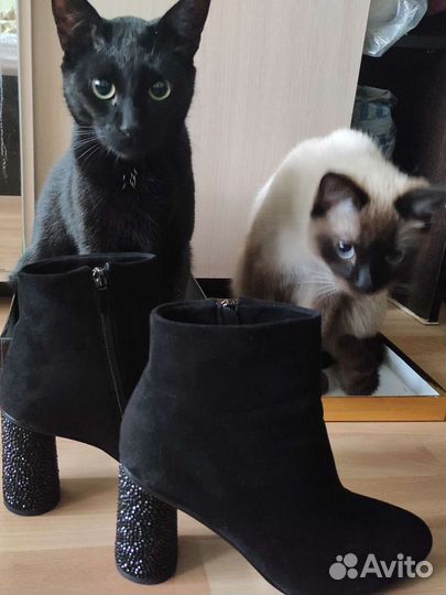 Обувь женская ботильоны