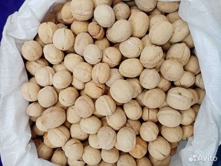 Грецкий орех в скорлупе