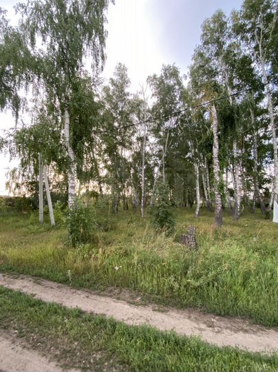 Участок 10 сот. (ИЖС)