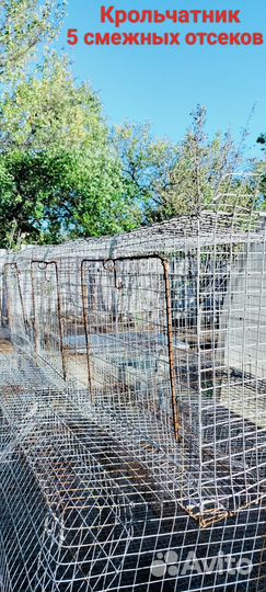 Крольчатник