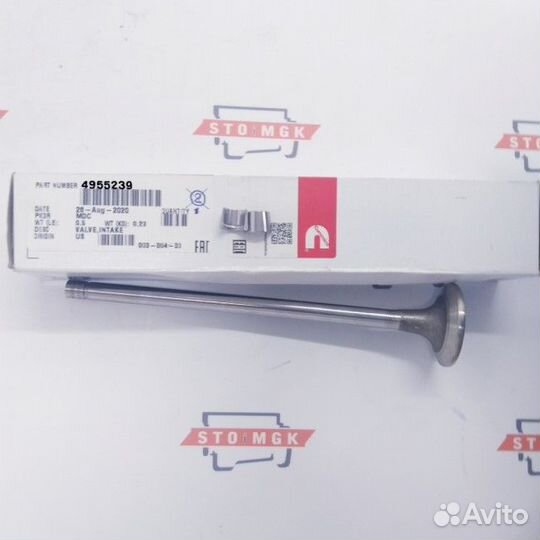 Клапан,intake QSM/ISM/M-11 (Price 2022 MR HD)