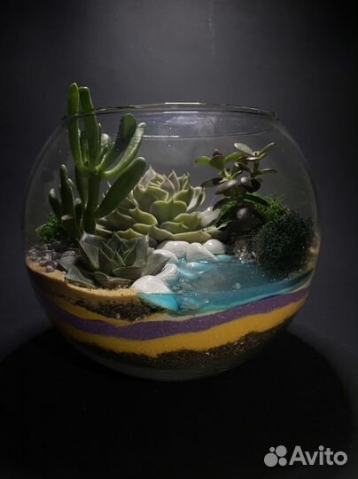 Флорариум с водоемом и растениями