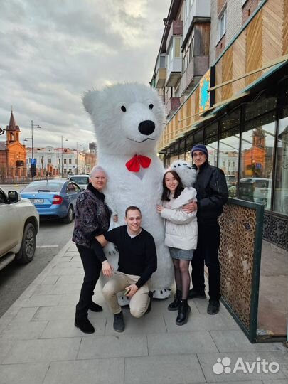 Ростовая кукла, белый мишка, поздравление