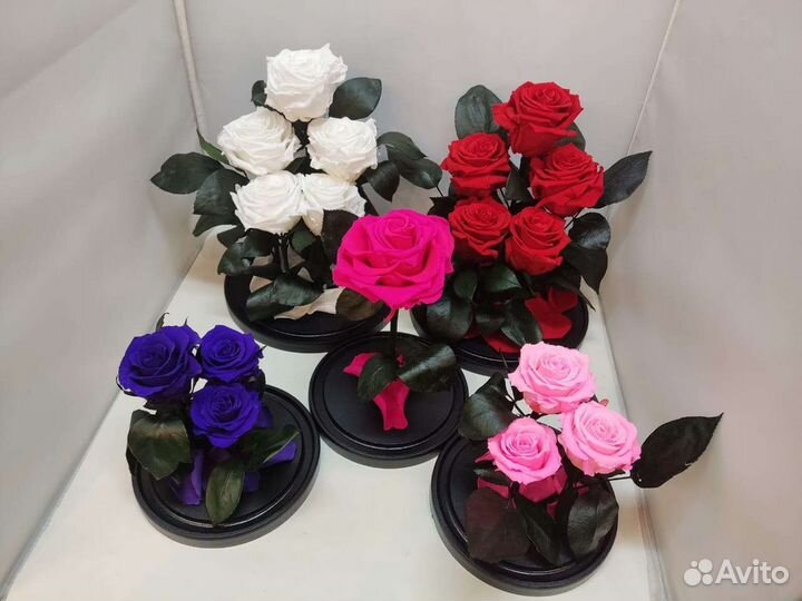 Роза в колбе оптом