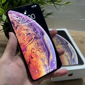 iPhone Xs Max, 64 ГБ