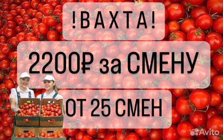 Вахта от 25 смен Тула/Разнорабочие/Проживание