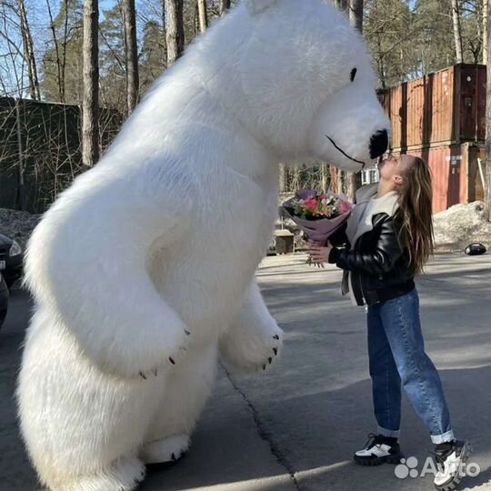 Надувные Мишки поздравление