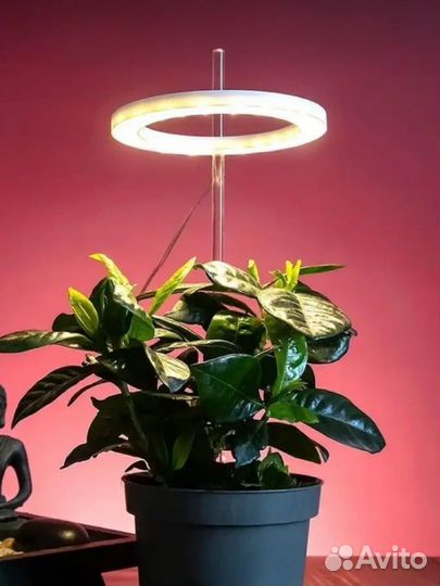 Фитолампа для растений полный спектр