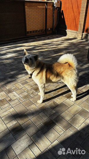 Тротуарная плитка ГОСТ