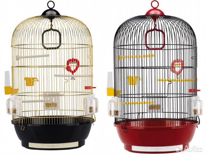 Клетка для птицы и попугай