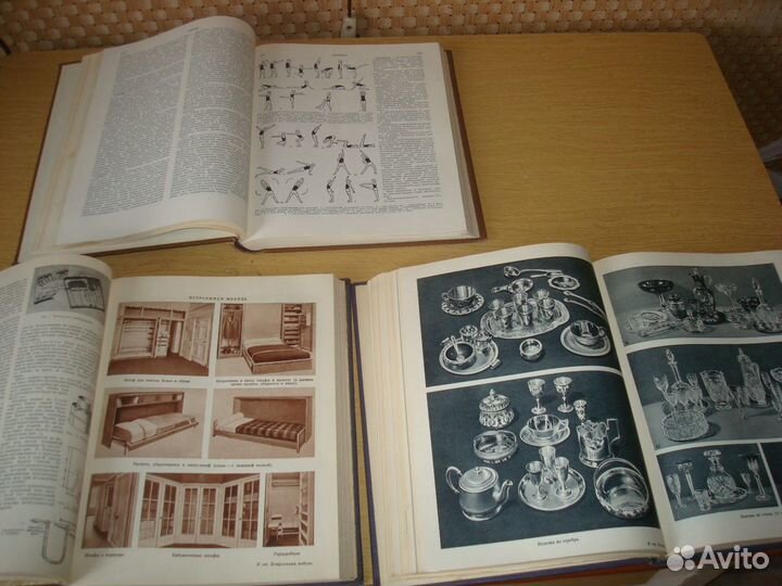 Энциклопедия домашняя