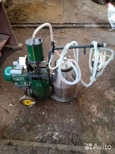 Доильный аппарат