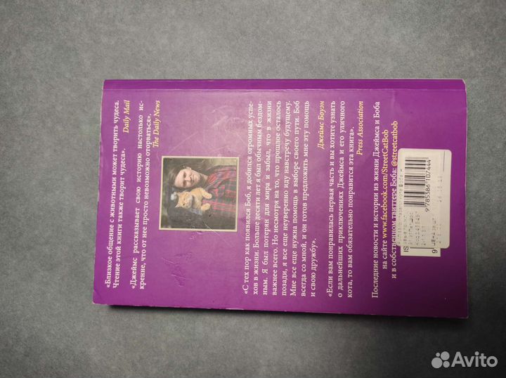 Мир глазами кота Боба