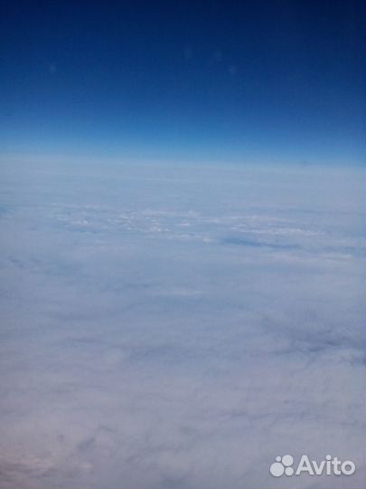 Сдам в аренду костыли