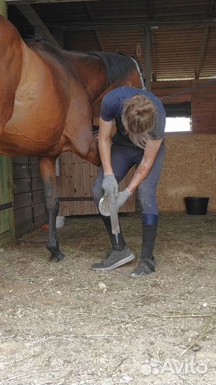 Триммер/Коваль лошадей