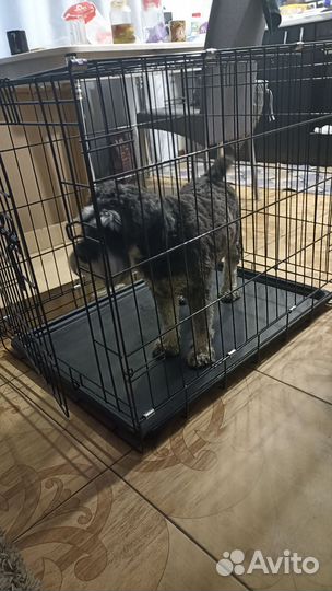 Клетка для собаки