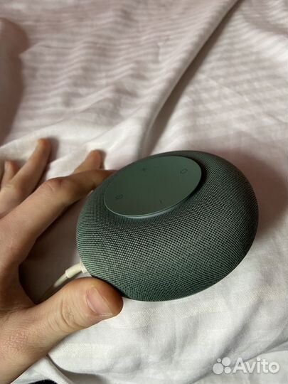 Маруся капсула