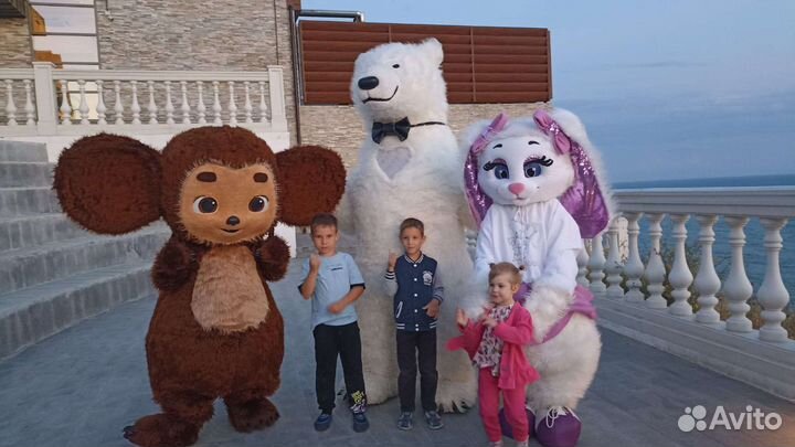 Аниматоры на день рождения мишка