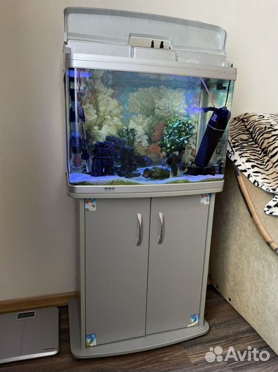 Аквариум