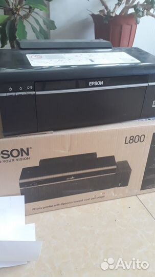 Принтер epson l800