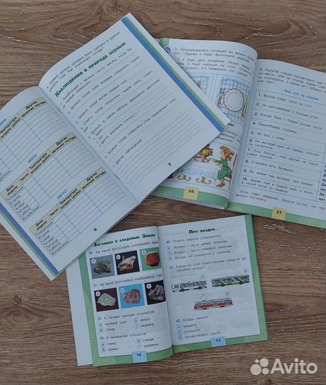 Рабочая тетрадь 2 класс Окружающий мир