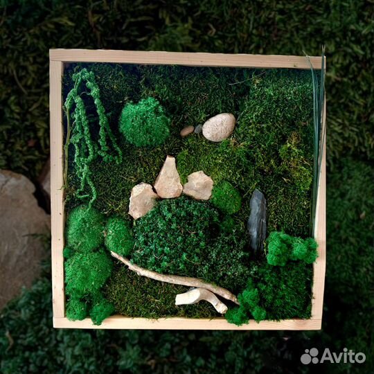 Картина из стабилизированных растений